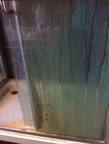 Shower Glass Cleaning - Before